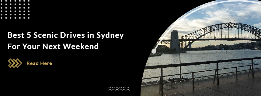 The Top 5 Scenic Drives in Sydney For Your Next Weekend